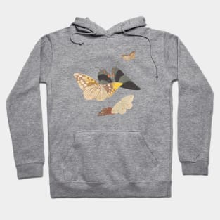 Moths and butterflies 19th century Japan Hoodie